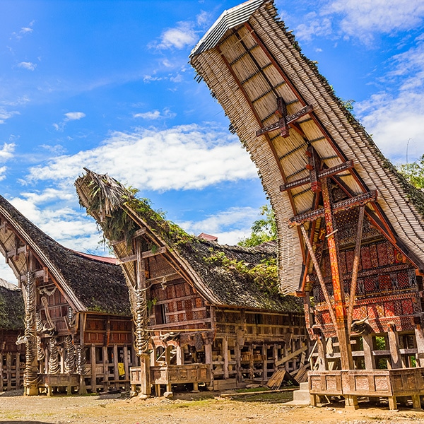 Toraja Tour