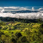 4 Days Toraja Trekking Tour