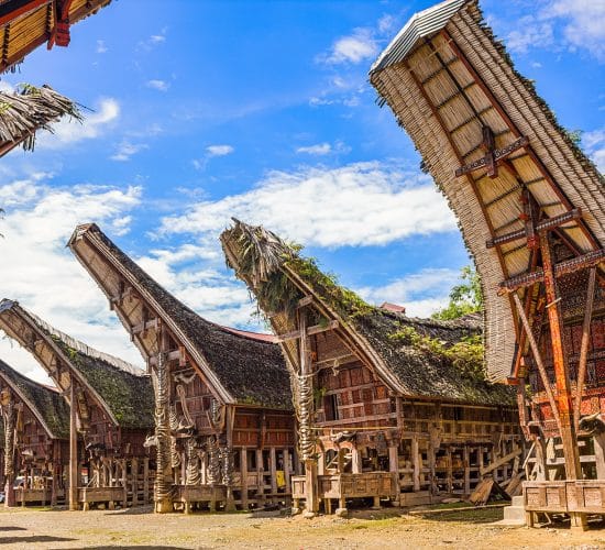 Toraja Tour