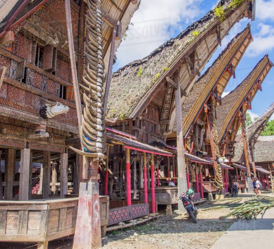 Toraja Tongkonan